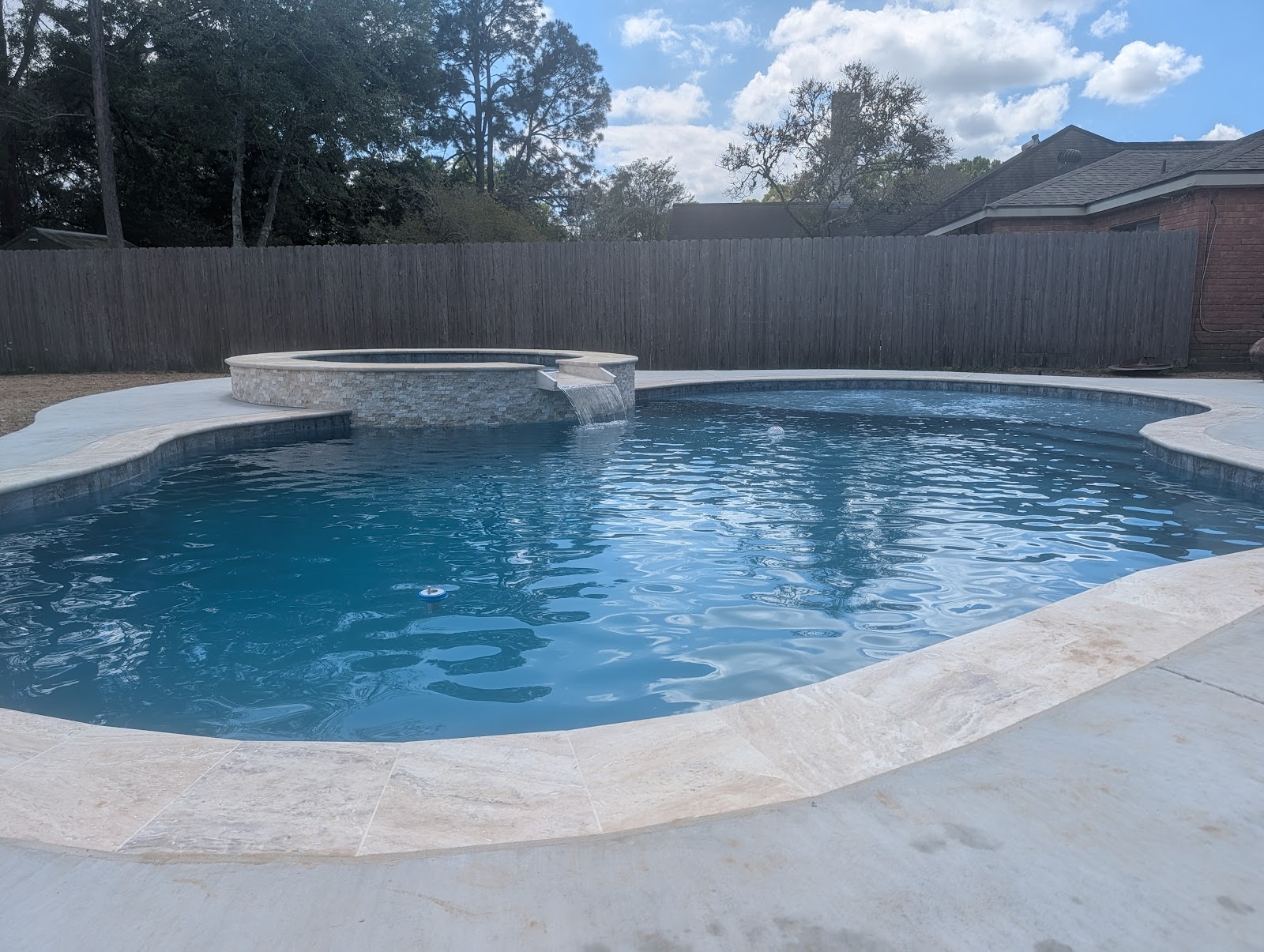 Luxury Backyard Pool in Lafayette Heights